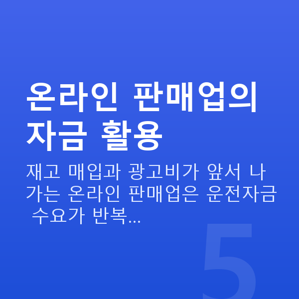 온라인쇼핑몰대출 온라인 판매업의 자금 활용