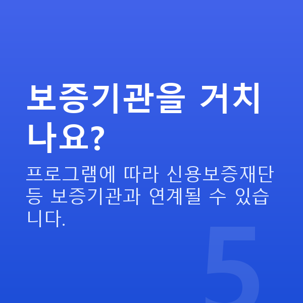 정책자금3천만원 보증기관을 거치나요?
