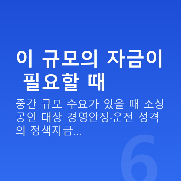 정책자금3천만원 이 규모의 자금이 필요할 때