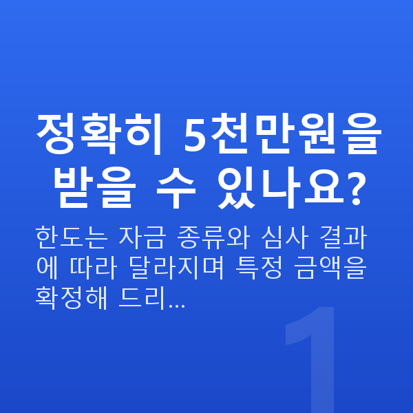 정책자금5천만원 정확히 5천만원을 받을 수 있나요?