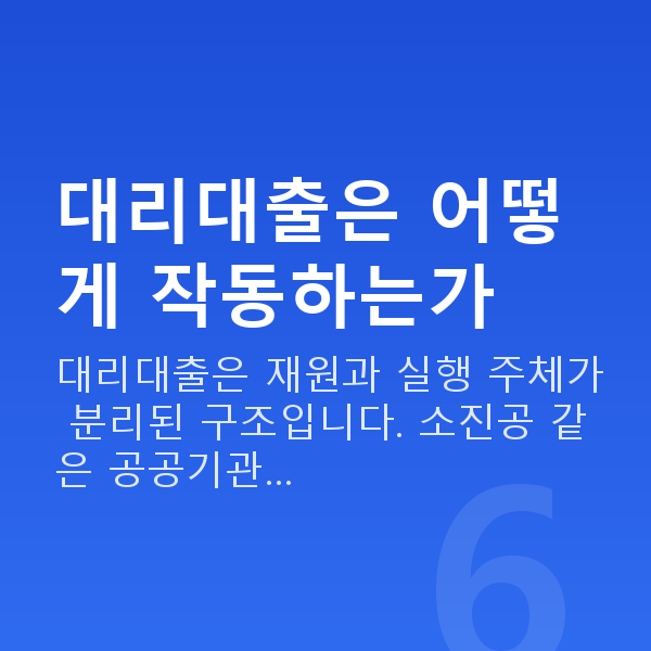 정책자금 대리대출 대리대출은 어떻게 작동하는가