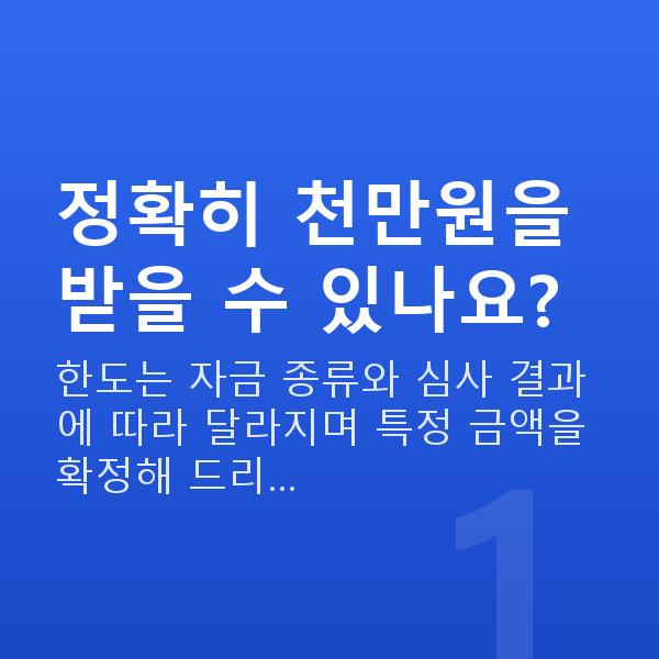정책자금천만원 정확히 천만원을 받을 수 있나요?