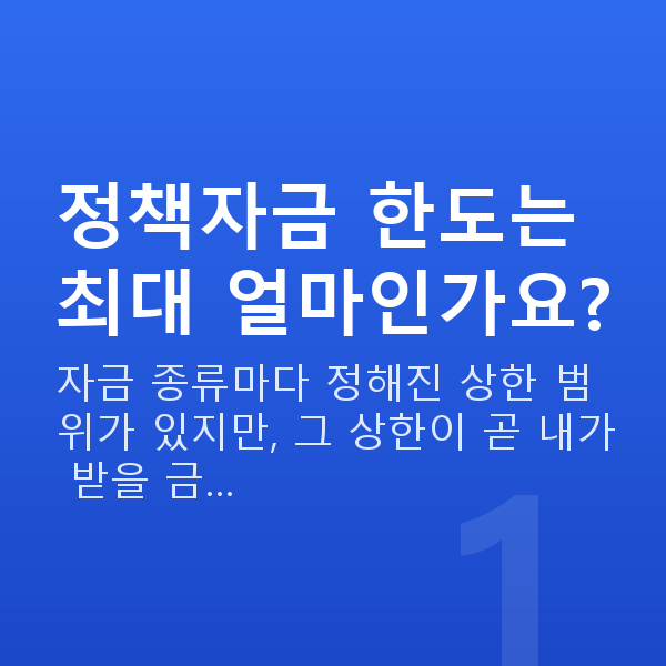 정책자금 한도 정책자금 한도는 최대 얼마인가요?