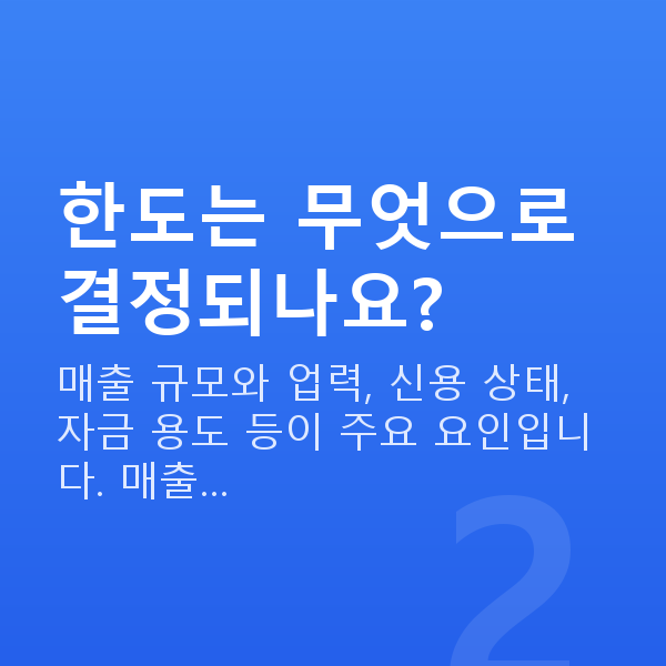 정책자금 한도 한도는 무엇으로 결정되나요?