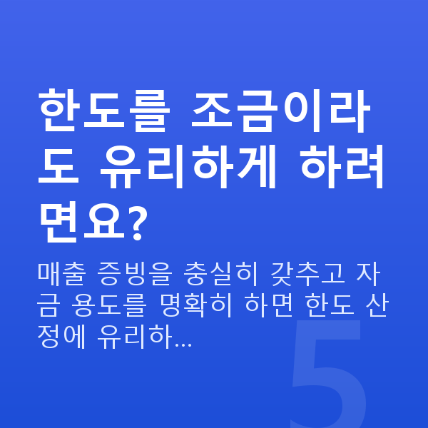 정책자금 한도 한도를 조금이라도 유리하게 하려면요?