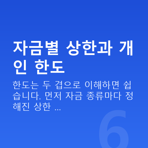 정책자금 한도 자금별 상한과 개인 한도