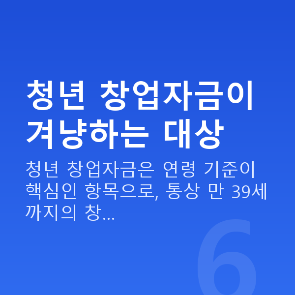 청년 창업자금 청년 창업자금이 겨냥하는 대상