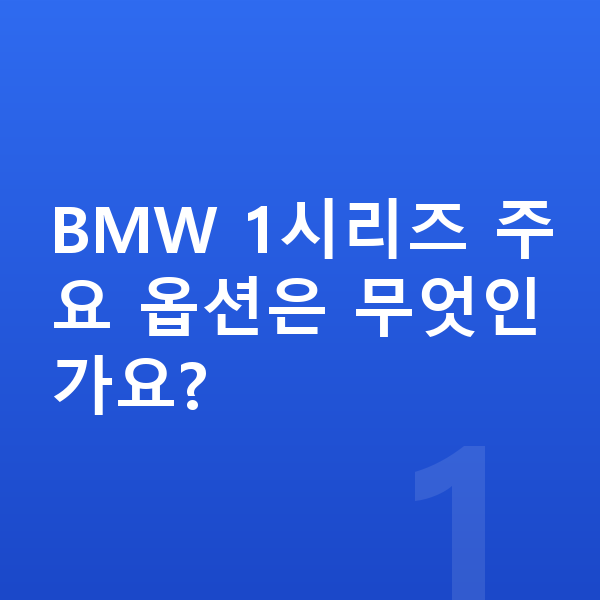 BMW 1시리즈 옵션 BMW 1시리즈 주요 옵션은 무엇인가요?
