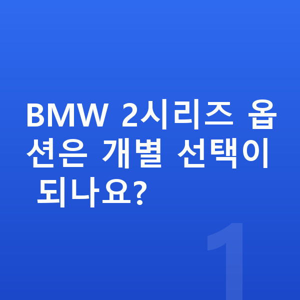 BMW 2시리즈 옵션 BMW 2시리즈 옵션은 개별 선택이 되나요?
