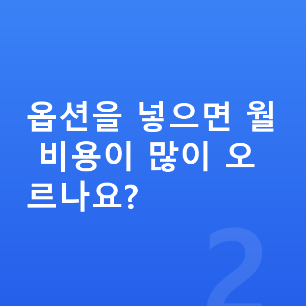 BMW 2시리즈 옵션 옵션을 넣으면 월 비용이 많이 오르나요?