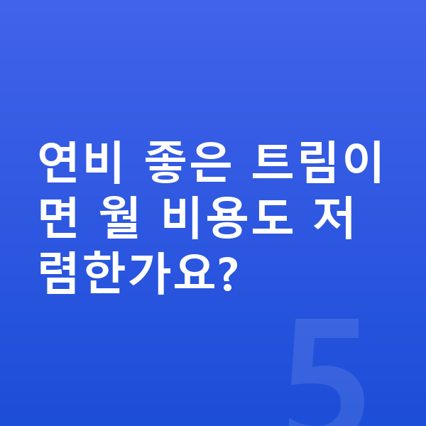 BMW 3시리즈 연비 연비 좋은 트림이면 월 비용도 저렴한가요?