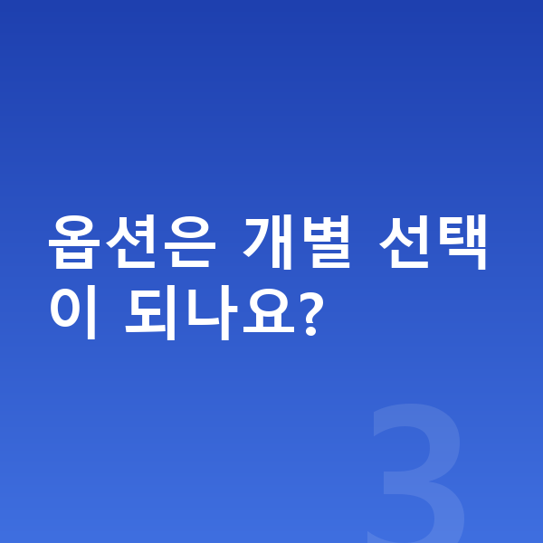 BMW 3시리즈 옵션 옵션은 개별 선택이 되나요?