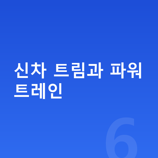 BMW 5시리즈 신차 신차 트림과 파워트레인