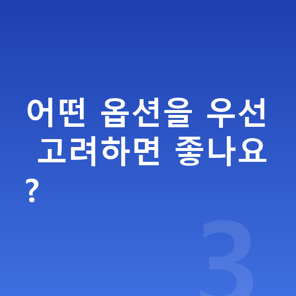 BMW 5시리즈 옵션 어떤 옵션을 우선 고려하면 좋나요?