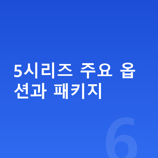 BMW 5시리즈 옵션 5시리즈 주요 옵션과 패키지