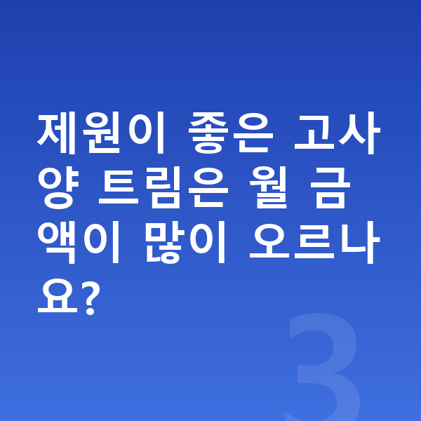 BMW 5시리즈 제원 제원이 좋은 고사양 트림은 월 금액이 많이 오르나요?
