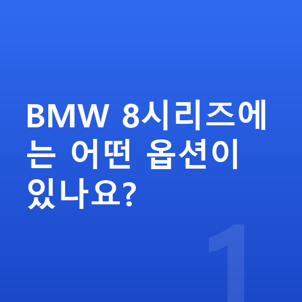 BMW 8시리즈 옵션 BMW 8시리즈에는 어떤 옵션이 있나요?