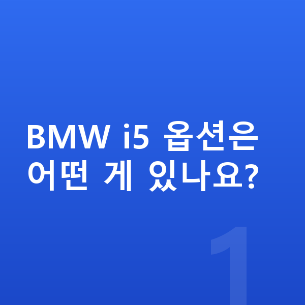 BMW i5 옵션 BMW i5 옵션은 어떤 게 있나요?