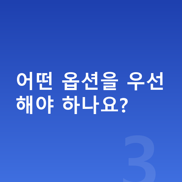 BMW i5 옵션 어떤 옵션을 우선해야 하나요?