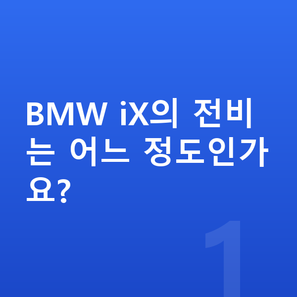 BMW iX 연비 BMW iX의 전비는 어느 정도인가요?