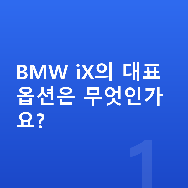 BMW iX 옵션 BMW iX의 대표 옵션은 무엇인가요?