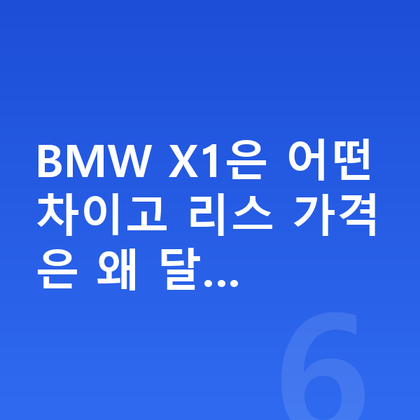 BMW X1 리스 가격 BMW X1은 어떤 차이고 리스 가격은 왜 달…