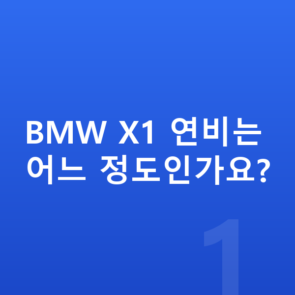 BMW X1 연비 BMW X1 연비는 어느 정도인가요?