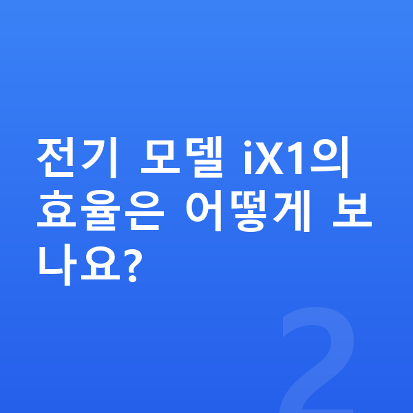 BMW X1 연비 전기 모델 iX1의 효율은 어떻게 보나요?