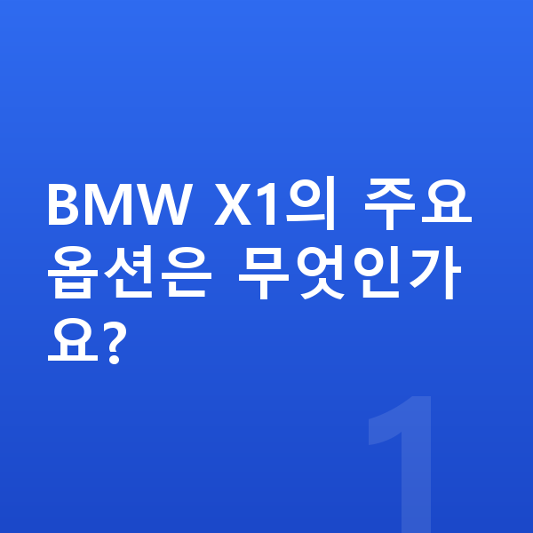 BMW X1 옵션 BMW X1의 주요 옵션은 무엇인가요?