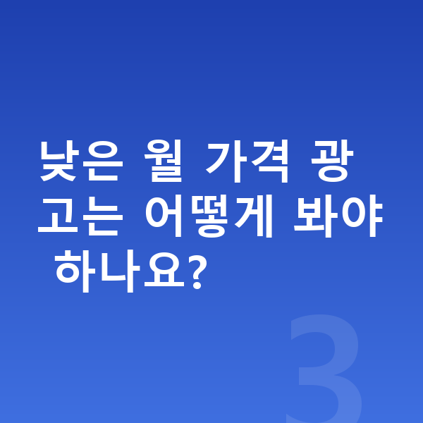 BMW X2 리스 가격 낮은 월 가격 광고는 어떻게 봐야 하나요?