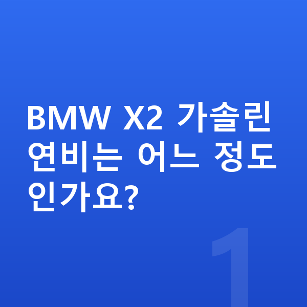BMW X2 연비 BMW X2 가솔린 연비는 어느 정도인가요?