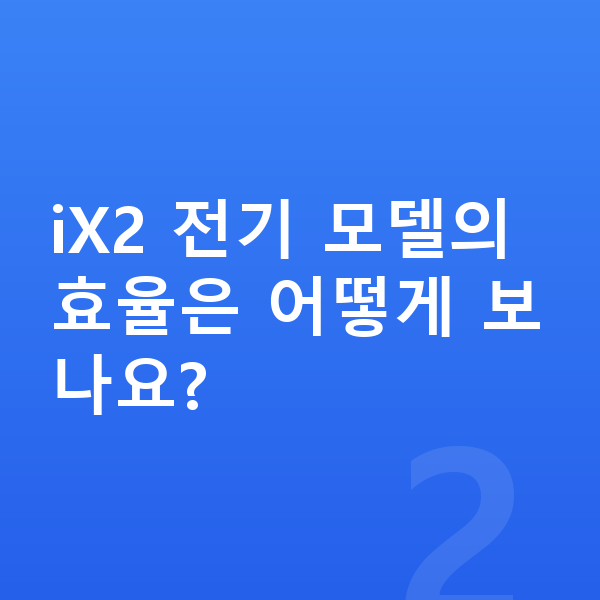 BMW X2 연비 iX2 전기 모델의 효율은 어떻게 보나요?