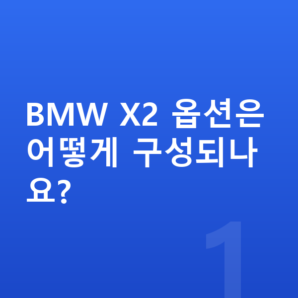 BMW X2 옵션 BMW X2 옵션은 어떻게 구성되나요?