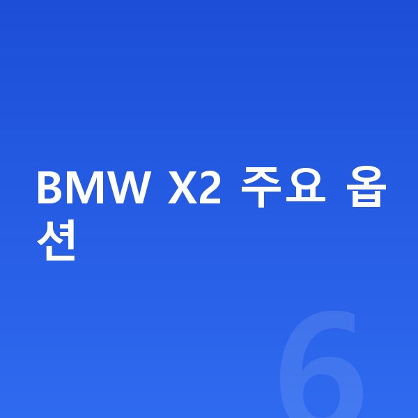 BMW X2 옵션 BMW X2 주요 옵션
