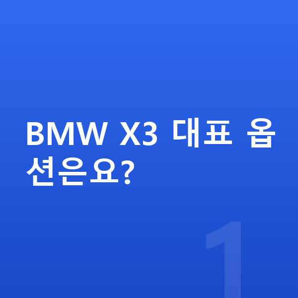 BMW X3 옵션 BMW X3 대표 옵션은요?