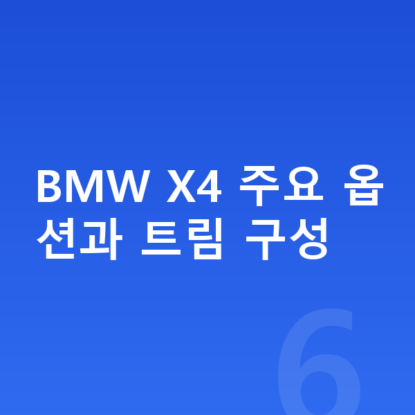 BMW X4 옵션 BMW X4 주요 옵션과 트림 구성