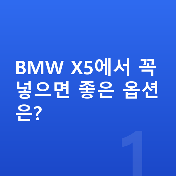 BMW X5 옵션 BMW X5에서 꼭 넣으면 좋은 옵션은?