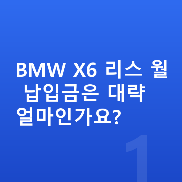 BMW X6 리스 BMW X6 리스 월 납입금은 대략 얼마인가요?