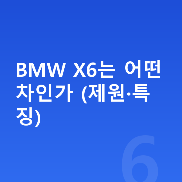 BMW X6 리스 BMW X6는 어떤 차인가 (제원·특징)