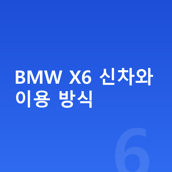 BMW X6 신차 BMW X6 신차와 이용 방식