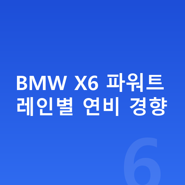 BMW X6 연비 BMW X6 파워트레인별 연비 경향