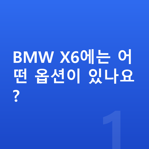 BMW X6 옵션 BMW X6에는 어떤 옵션이 있나요?