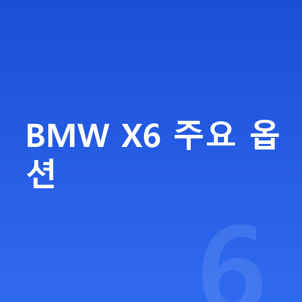 BMW X6 옵션 BMW X6 주요 옵션