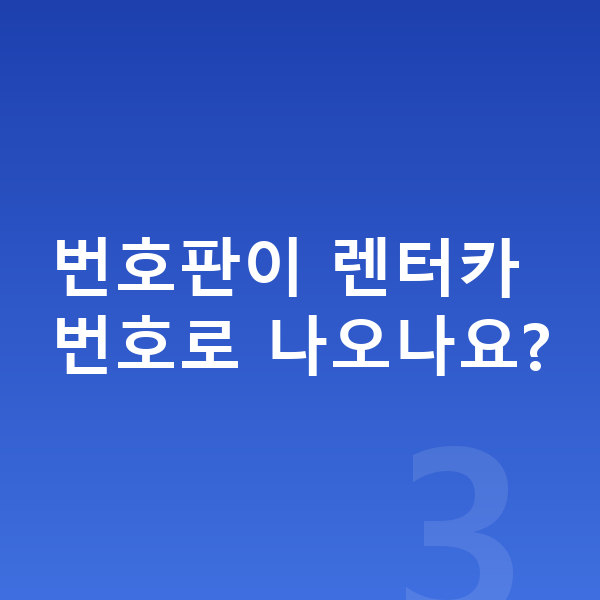 BMW X6 장기렌트 번호판이 렌터카 번호로 나오나요?