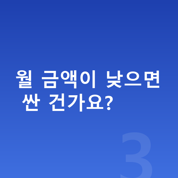 BMW X6 장기렌트 가격 월 금액이 낮으면 싼 건가요?