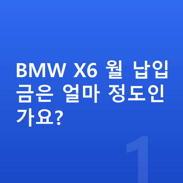 BMW X6 장기렌트 월납입금 BMW X6 월 납입금은 얼마 정도인가요?