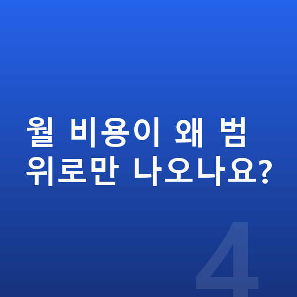 BMW XM 가격 월 비용이 왜 범위로만 나오나요?