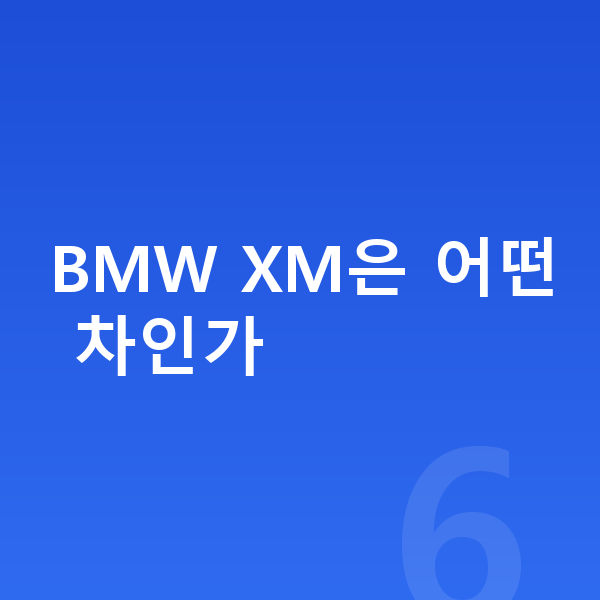 BMW XM 가격 BMW XM은 어떤 차인가