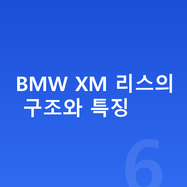 BMW XM 리스 BMW XM 리스의 구조와 특징