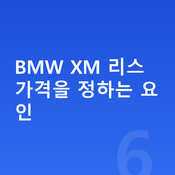 BMW XM 리스 가격 BMW XM 리스 가격을 정하는 요인